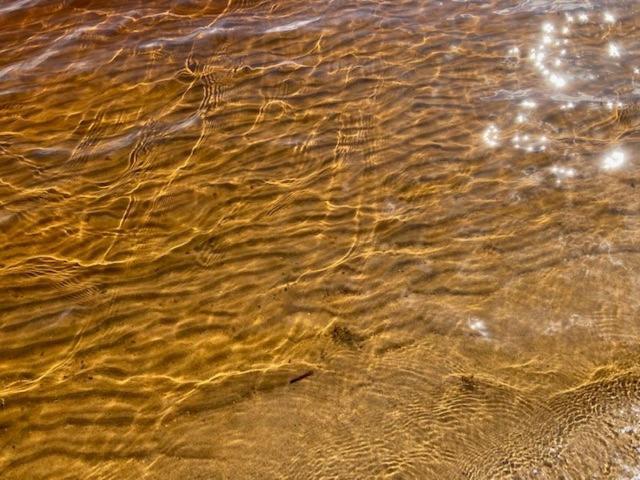 Lomahuvila Kultahiekka Holiday Villa Golden Sand Kivilahti Zewnętrze zdjęcie